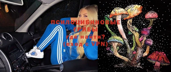 спиды Алзамай