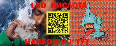 индика Заводоуковск
