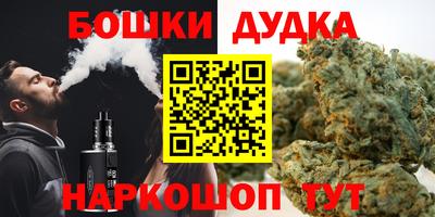 индика Заводоуковск