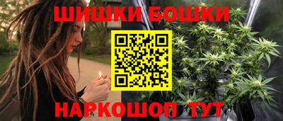 индика Заводоуковск