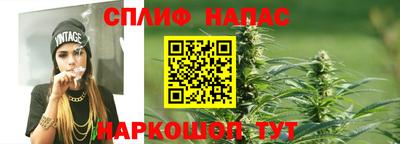 индика Заводоуковск