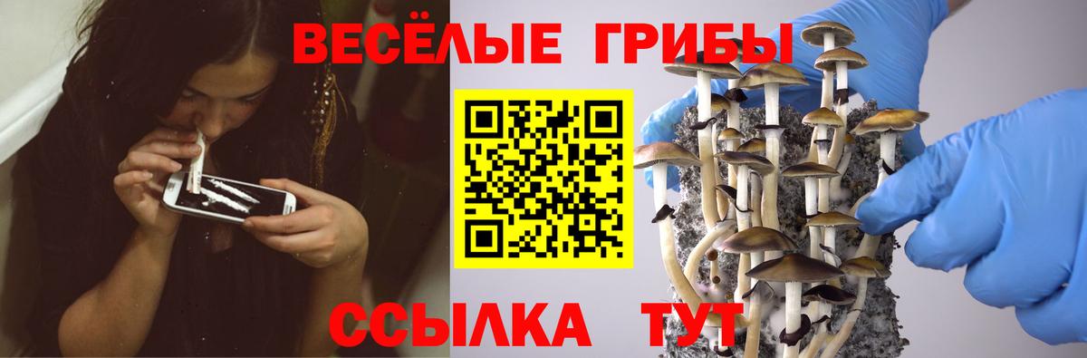 Осинники  Галлюциногенные грибы мухоморы  Вход с VPN 